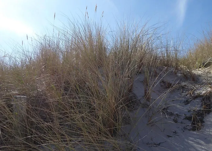 Quiet Coast - Stw 7-3-28 Apartamento Heiligenhafen